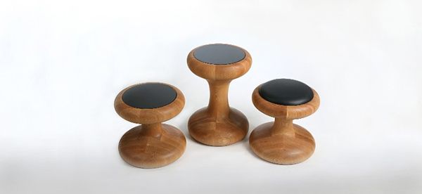Mushroom_family