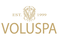 Logo-1-white-gold-edited-_2